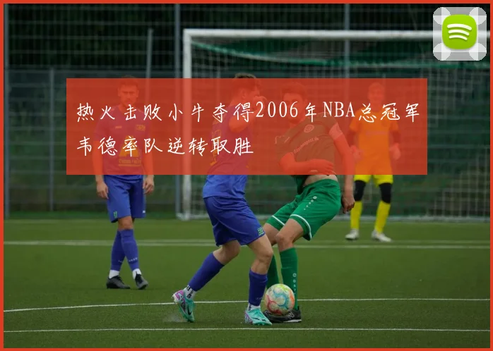 热火击败小牛夺得2006年NBA总冠军韦德率队逆转取胜