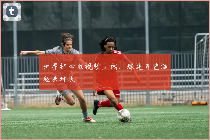 世界杯回放视频上线,球迷可重温经典对决
