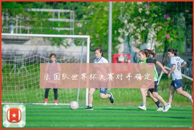 法国队世界杯决赛对手确定