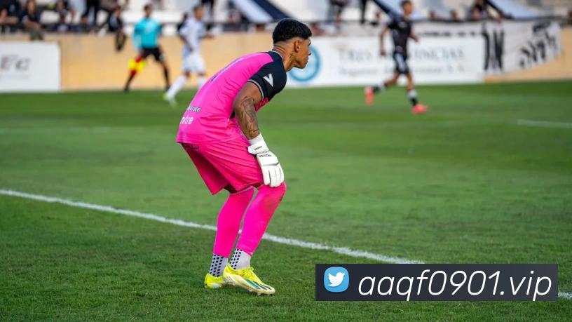 开云·kaiyun体育(中国大陆)官方网站 登录入口发展历程