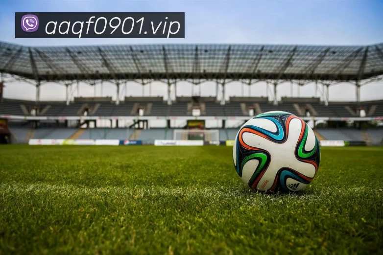 开云·kaiyun体育(中国大陆)官方网站 登录入口APP 体育赛事宣传图